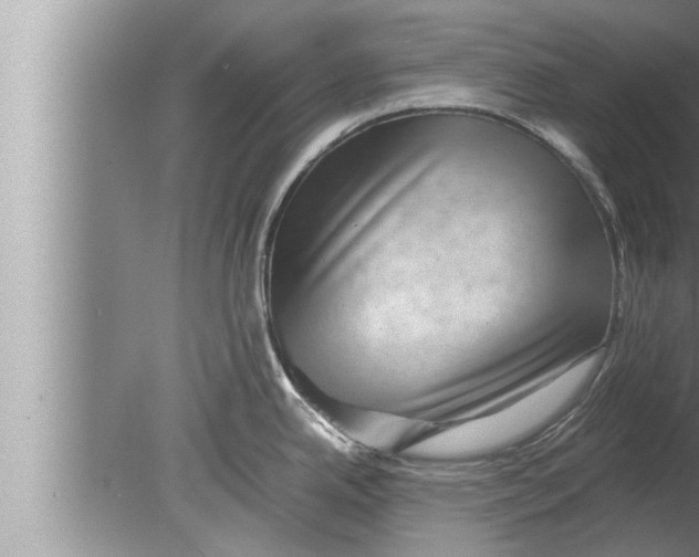 X0000080161342200612302144