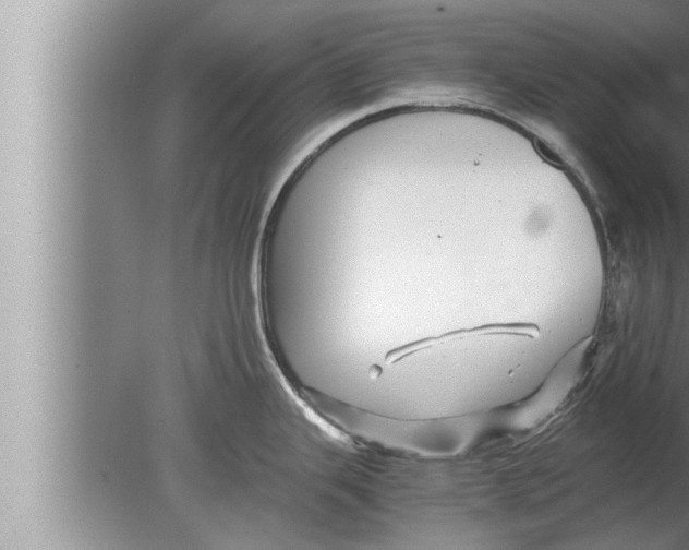 X0000080161343200612302144