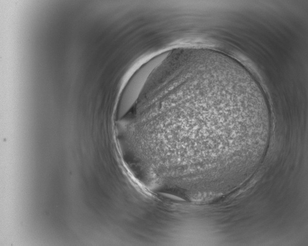 X0000080161344200612302144