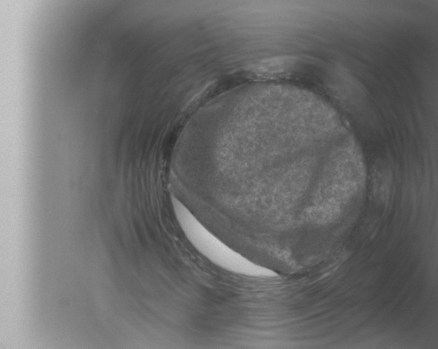 X0000080161346200612302143