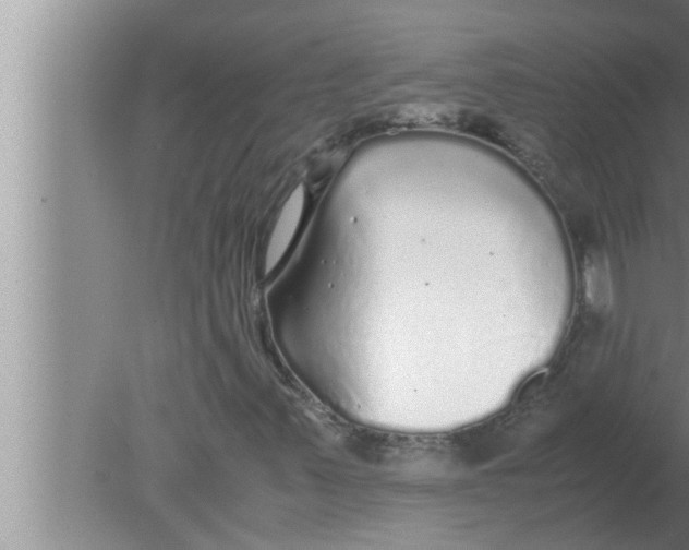 X0000080161347200612302143