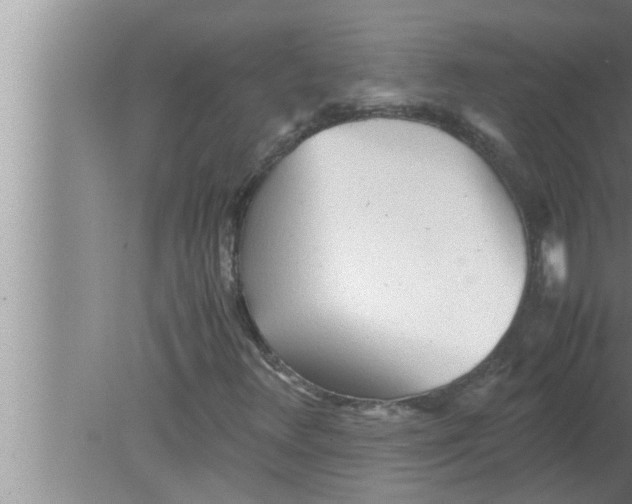 X0000080161348200612302143