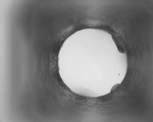 X0000080161349200612302143