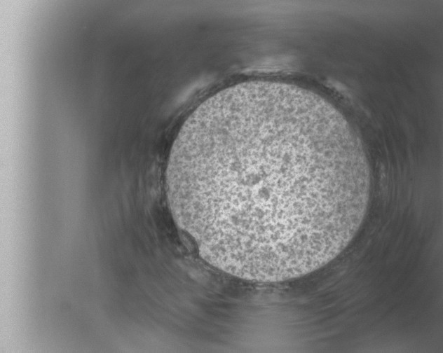 X0000080161350200612302143