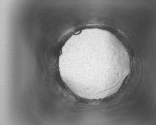 X0000080161351200612302143