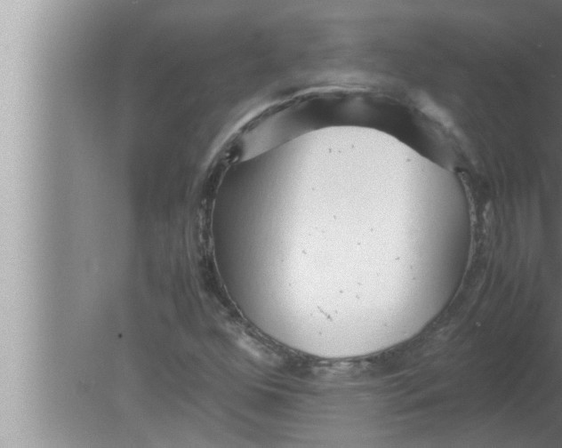 X0000080161352200612302143