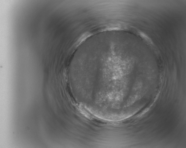 X0000080161353200612302143