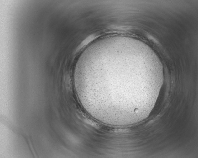 X0000080161354200612302143