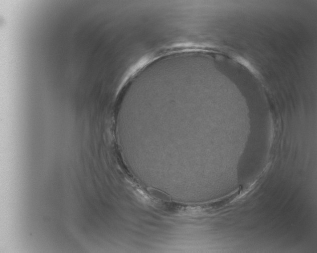 X0000080161357200612302143