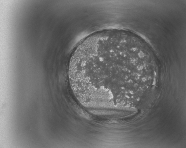 X0000080161359200612302143