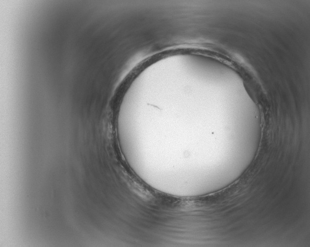 X0000080161360200612302143