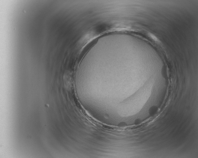 X0000080161361200612302142