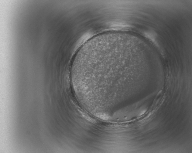 X0000080161362200612302142