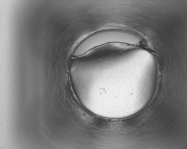 X0000080161363200612302142