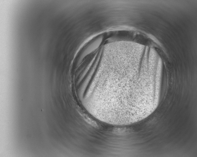 X0000080161364200612302142