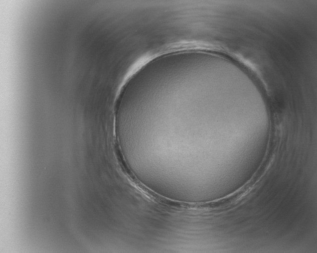 X0000080161365200612302142