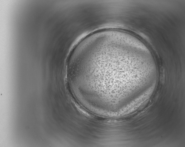 X0000080161366200612302142