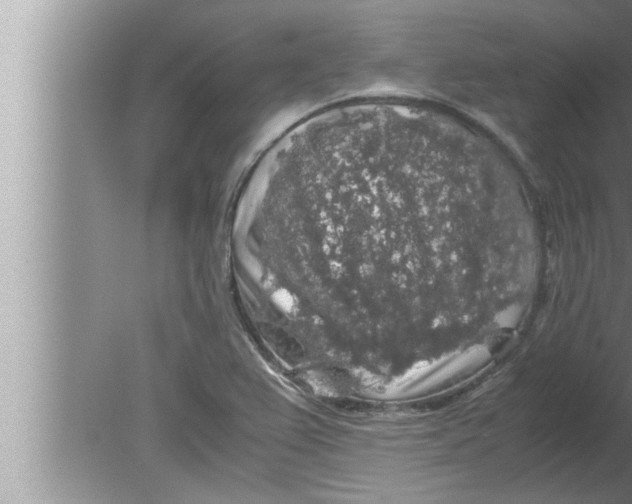 X0000080161367200612302142