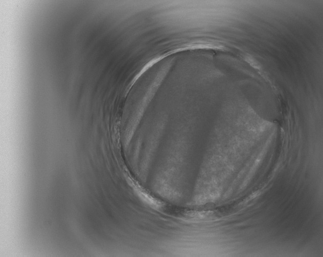 X0000080161369200612302142