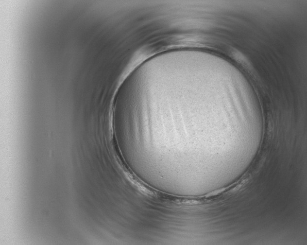 X0000080161370200612302142