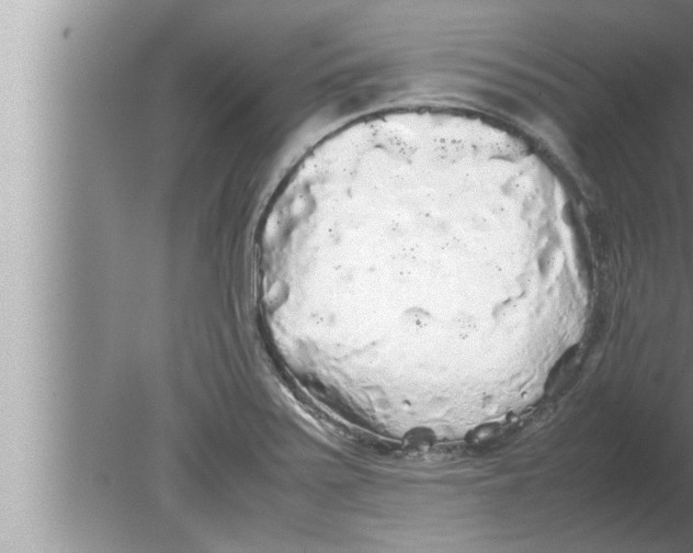 X0000080161371200612302142