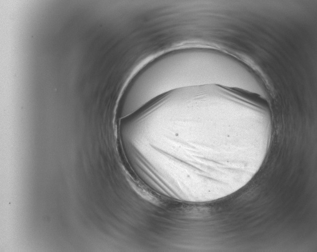 X0000080161372200612302142