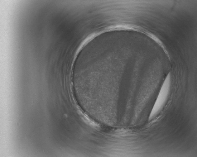 X0000080161373200612302142