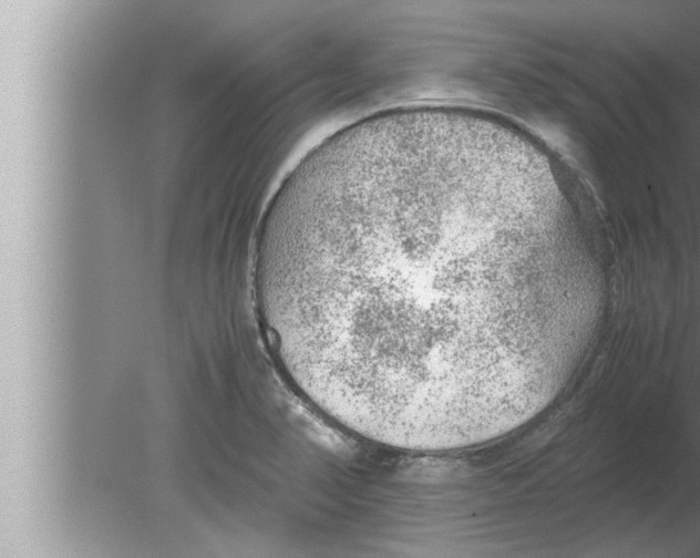 X0000080161374200612302142