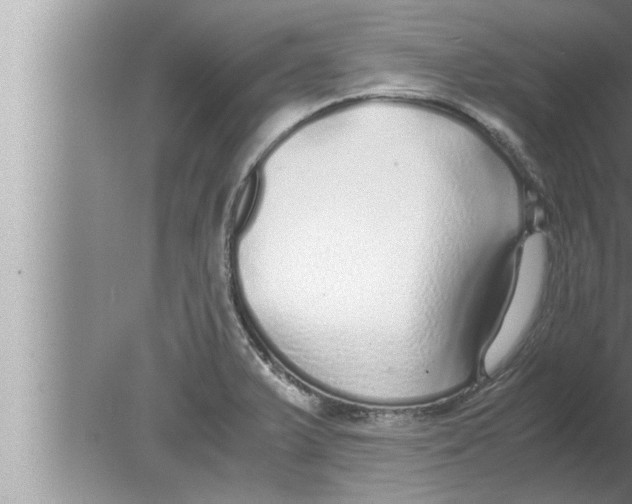 X0000080161375200612302142