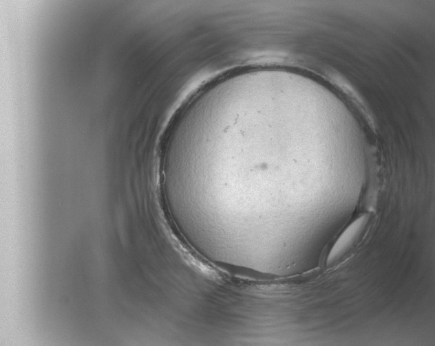 X0000080161376200612302142