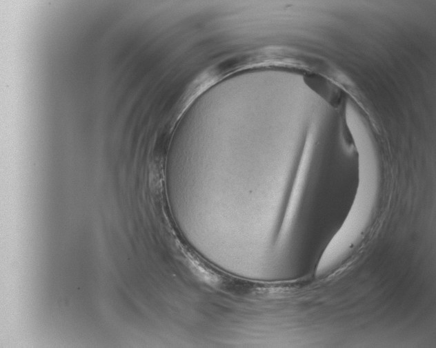 X0000080161377200612302142