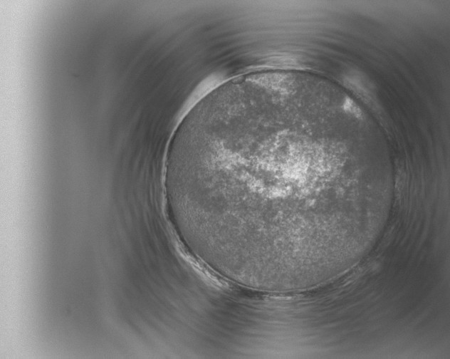 X0000080161378200612302142