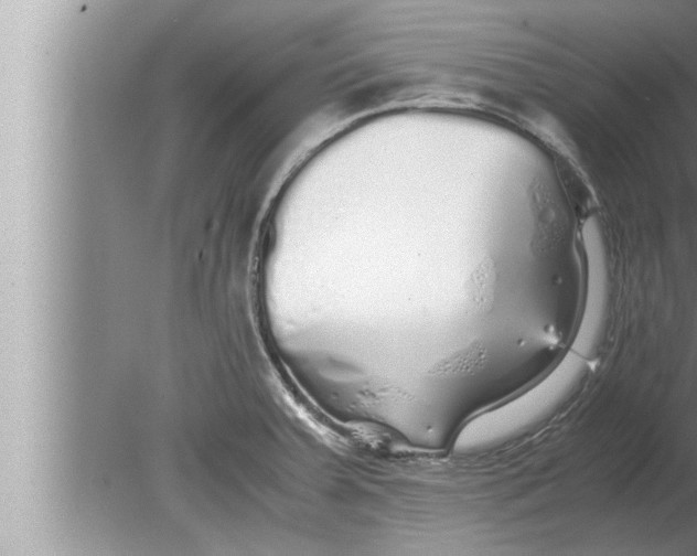 X0000080161379200612302142