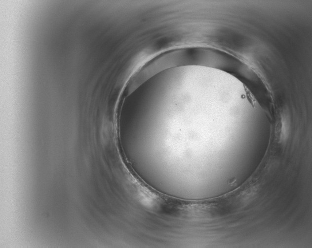 X0000080161380200612302142