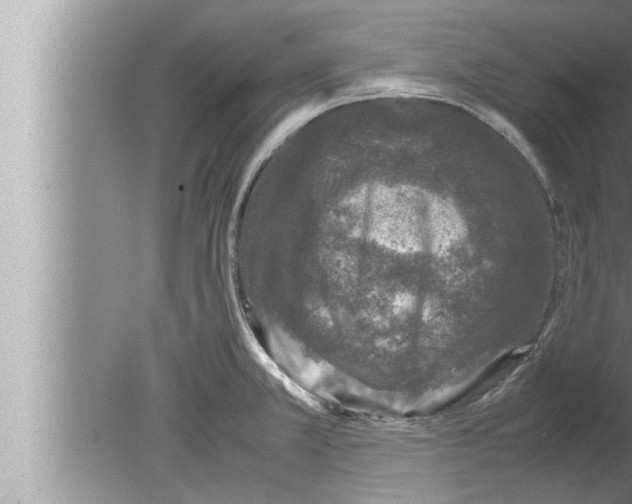 X0000080161381200612302142