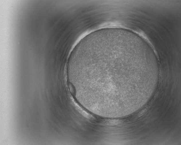 X0000080161382200612302142