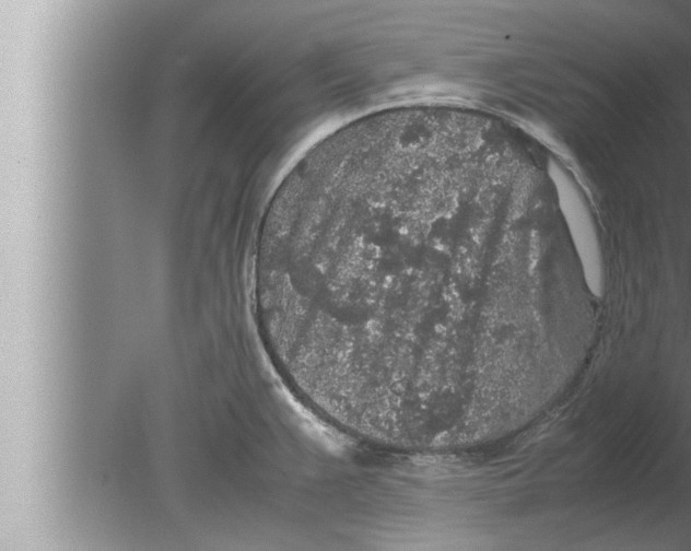 X0000080161383200612302142