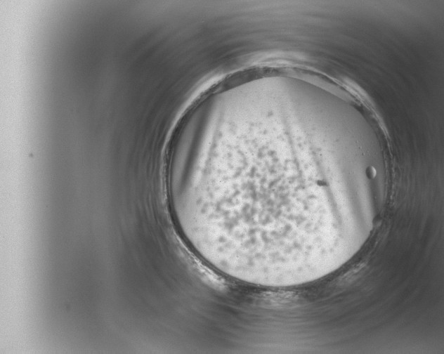 X0000080161384200612302142