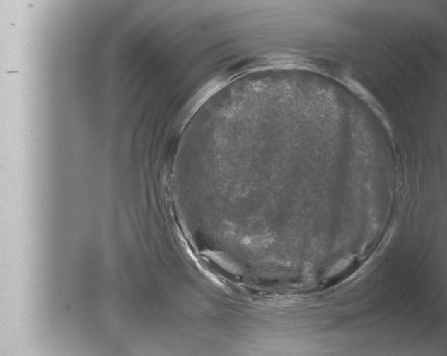 X0000080161385200612302142