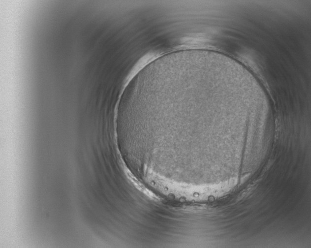 X0000080161386200612302142