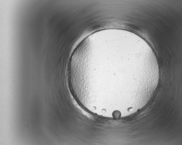 X0000080161387200612302142