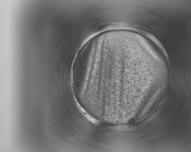 X0000080161388200612302142