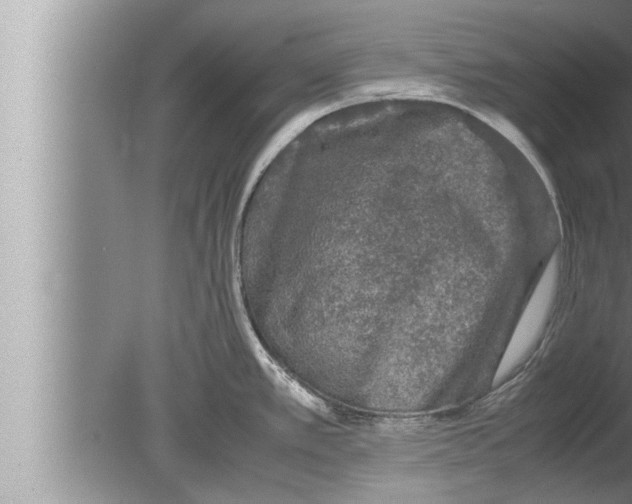 X0000080161389200612302142