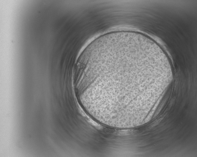 X0000080161390200612302142