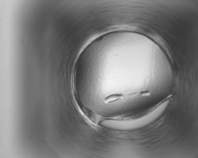 X0000080161391200612302142