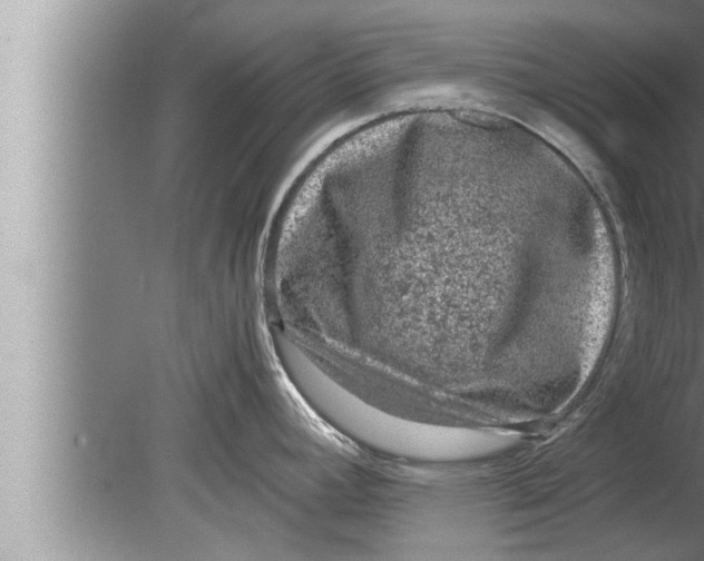 X0000080161392200612302142