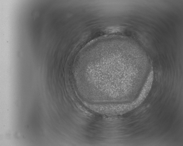 X0000080161393200612302141