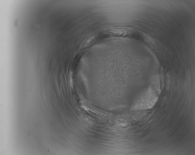 X0000080161394200612302141