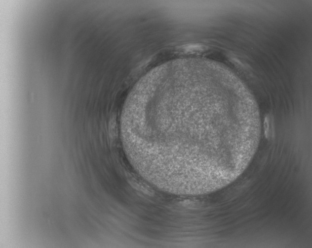 X0000080161395200612302141