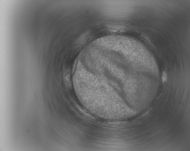 X0000080161396200612302141